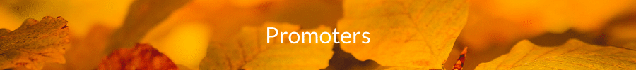 Header-Promoters-Influencers